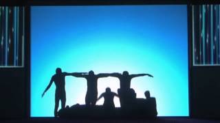 QATARGAS 2014 Gala Dinner  Shadow Show