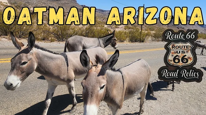 Oatman, Arizona on Route 66: Where the Wild Burros Roam
