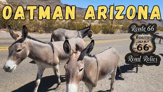 Oatman Arizona on Route 66 — Where the Wild Burros Roam