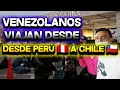 Venezolanos viajan desde Lima Perú 🇵🇪 hasta Santiago de Chile 🇨🇱 2021.. Mira todo lo que me sucedió.