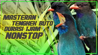 MASTERAN TENGKEK BUTO DURASI 1 JAM NONSTOP