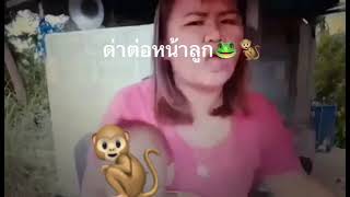 โอยดัย4นำเข่าอยู่บ่อ🐸