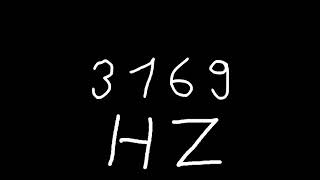 3169 hz