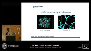 Dubois Magda - Neuronal Tracking using Trust Region Policy Optimization