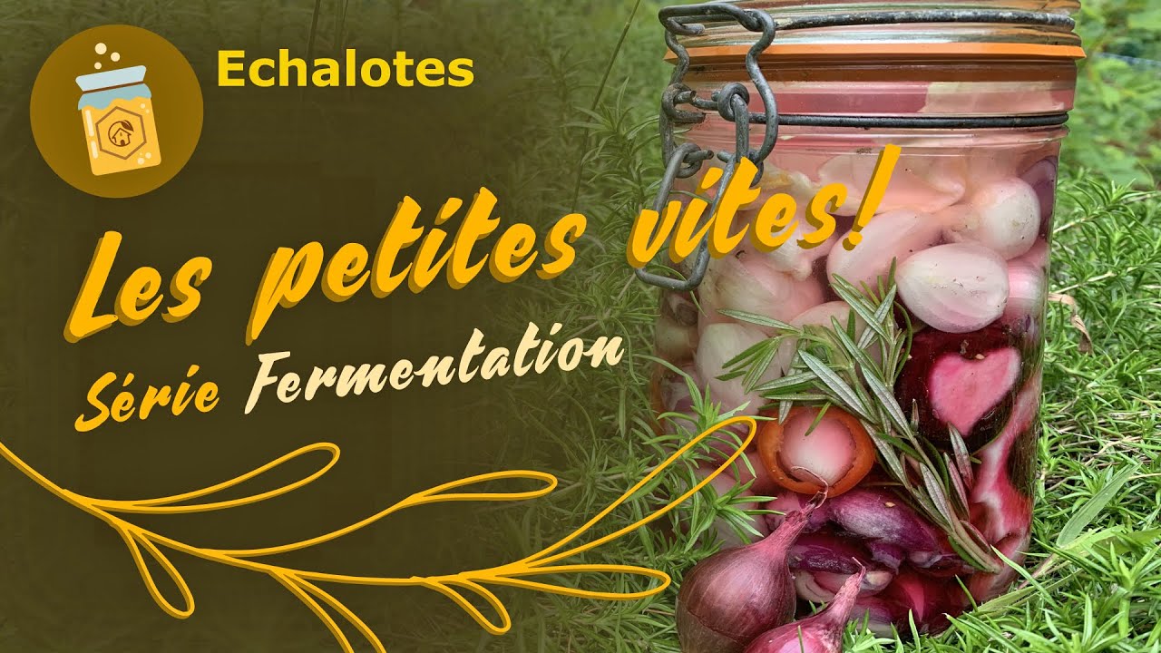 Echalotes fermentées, les petites vites!