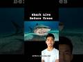 Sharks Existed Before Trees?! 🦈🌳 #ScienceFacts #Shorts #Viral