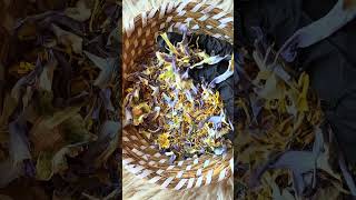 ASMR with Egyptian blue lotus