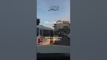 سُورَةُ النَّحۡلِ سورة مكية ما عدا الآيات 128128 فمدنية وهي من المئين آياتها 128وترتيبها في المصحف