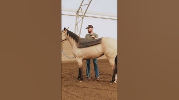 2 Month Colt Starting INSANE Transformation