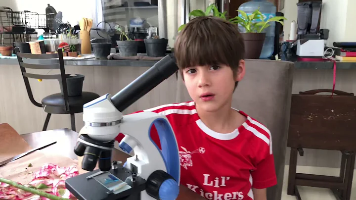 Kid Dissecting Flowers and Using Microscope