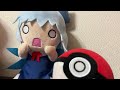 野生のチルノちゃんが現れた！？