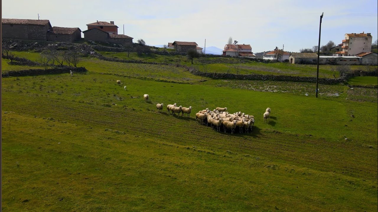 Türkü Dostları Canlı Yayın 714 #halkmüziği #özgünmüzik #sanatmüziği #arabesk #kürtçemüzik #şiir #saz