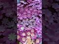 diy paper cherry blossoms #diy #diycrafts #diyflowers #diyflower #diypaperflower #diypapercraft