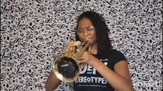 'Blackbird' -Nina Simone trumpet cover