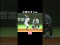 小坂たまらん #Shorts