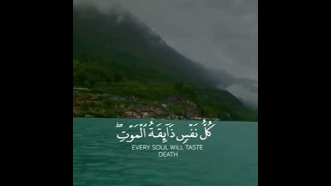 ‎القارئ عبدالرحمن مسعد [سورة العنكبوت_الآيات 56-57] WITH ENGLISH SUBTITLES
