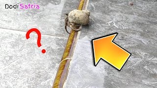 Uji Balapan Jalan SIPUT LAUT Dilantai Keramik
