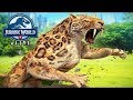 Jurassic World Alive Walkthrough Gameplay Part 5 Android Jurassic World Alive Walkthrough Gameplay Part 5 Android