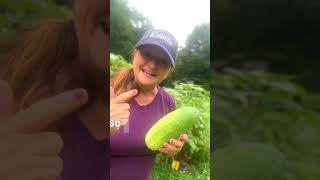 Made your own Gatorade | The J2 Nama Juicer #garden #shorts #hydrate #cucumbers #healthy #juicer