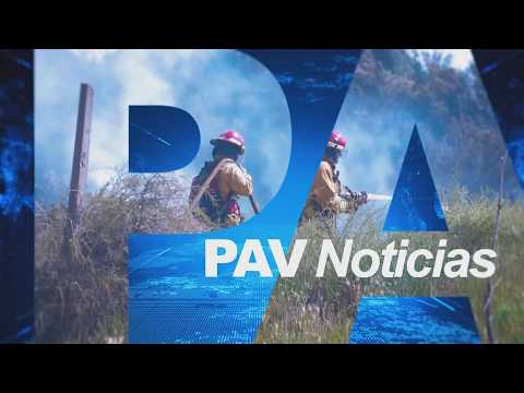 PAV NOTICIAS 20 HS  - 24/06/2026