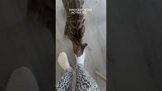 He Attacked… Then Pretended Nothing Happened 😂