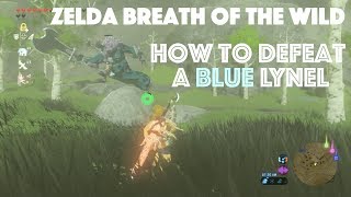 How To Defeat A Blue Lynel - Zelda Breath of the Wild