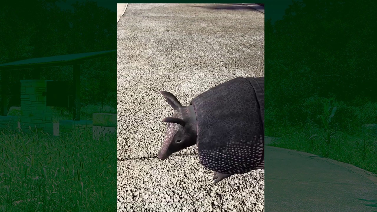 45SW: Trail Explorer by CTRMA App How To