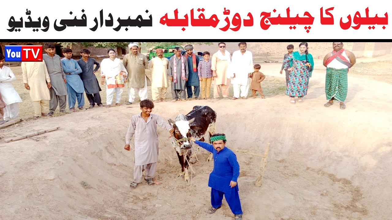 Number daar Bailon Ka Challenge Dor Muqabla Funny Video | Most Comedy Funny Video | You Tv Hd 2025