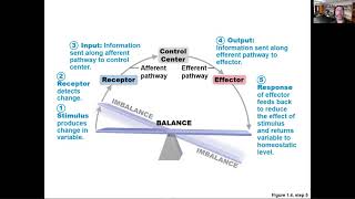 AP 201 Intro - Lecture 1