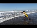 Pesca Con Atarraya En El Mar Sorprendente