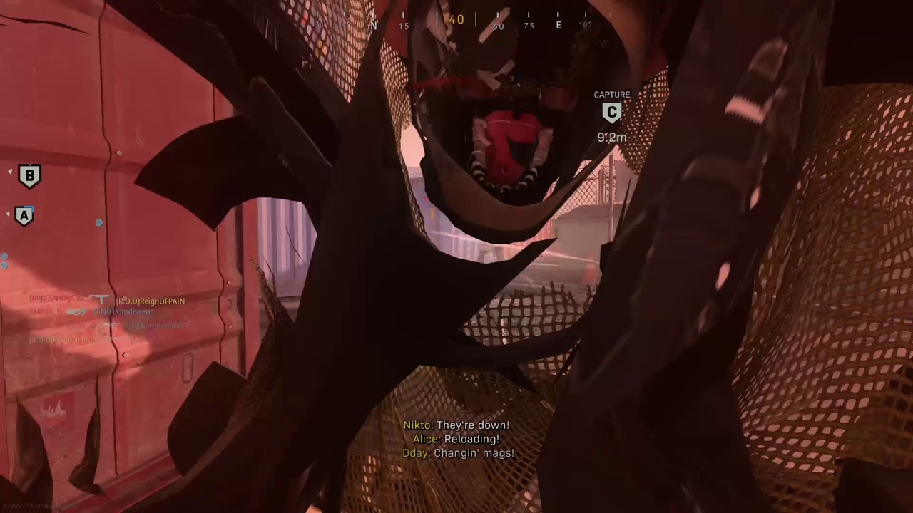 Call Of Duty Montage: ReignOFPAIN edition