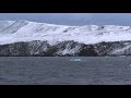 Под водой с Кириллом Ивановым - 507 - Карское Море. Новая Земля.