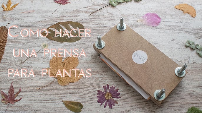 🌻HICE UNA PRENSA DE FLORES! PARA MIS MANUALIDADES 🌸🌼🌻🌷para secar y  aplanar flores naturales! 