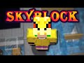 money time? | Hypixel Solo SkyBlock