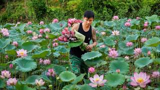 Most People Admire Lotus Flowers - Kind CEO Decides to Cook Them Instead