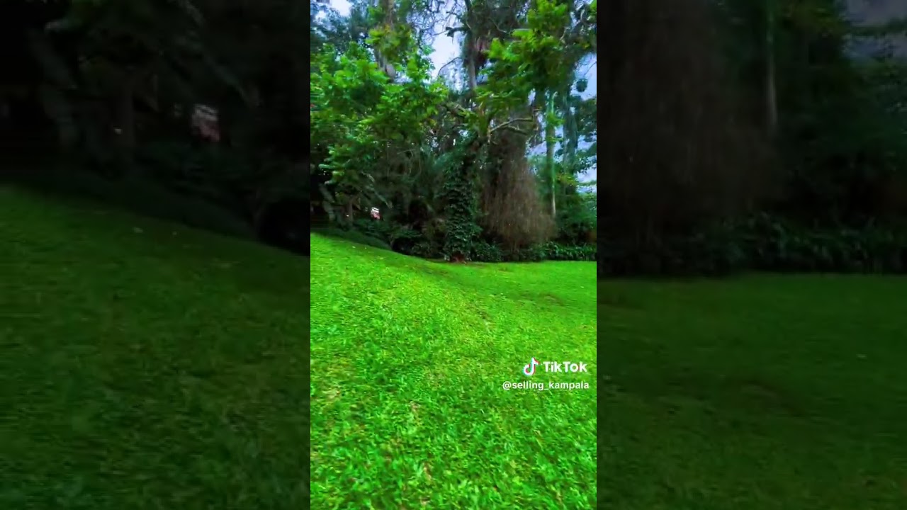 3Bedroom House For Rent In Muyenga, Kampala