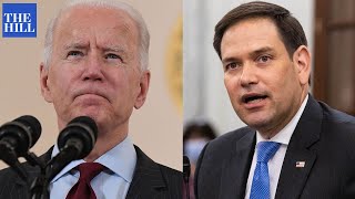 Rubio on missing Taliban growth: We've got the wrong people making military and diplomacy decisions