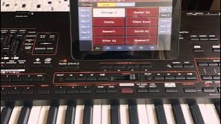 Korg PA4X Indian desi tones