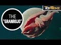 Top 10 Creepy Creatures of the Deep
