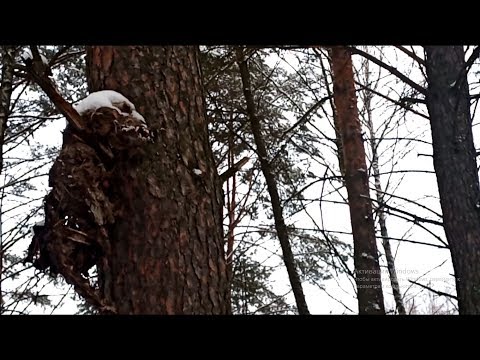 ЧУПАКАБРА?Страшная находка/ужасный труп монстра инопланетянина?Орудует маньяк...?18+/Chupacabra
