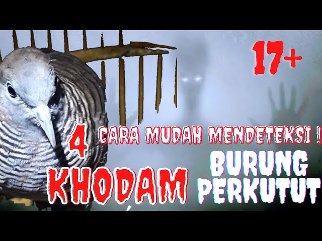 CARA MUDAH TES TUAH KHODAM BURUNG PERKUTUT ‼️ - MENURUT PRIMBON JAWA class=