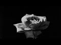 Numb - XXXTENTACION ( looped + slowed + reverb )