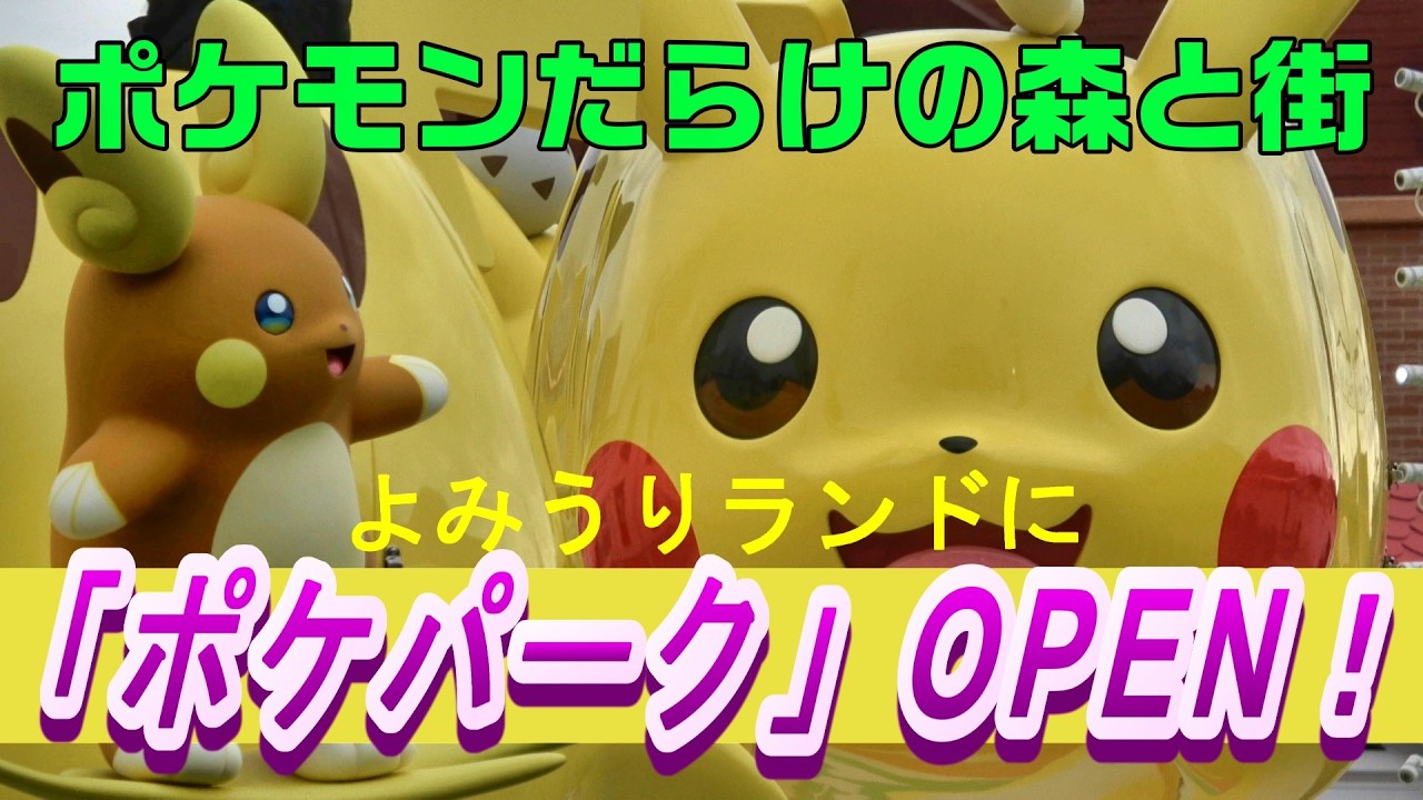 ポケパークカントー ピカチュウ リザードン Got it!] First look inside