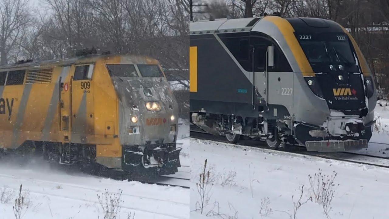 VIA Rail Canada 🇨🇦 Railfanning Mini Compilation 