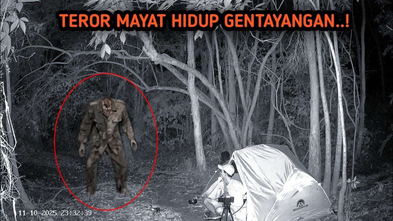 HORROR‼️A LIVING DEAD STANDING IN THE MIDDLE OF THE SWAMP - A TRAGIC CRIME SCENE IN THIS FOREST