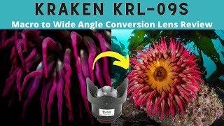 Kraken KRL-09S Review // The BEST Way to Convert Your Macro Lens to Wide Angle