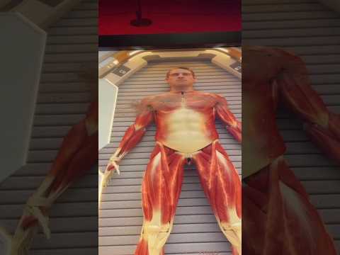 La increíble experiencia para viajar al interior del cuerpo humano