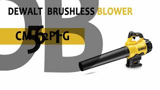 Dewalt DCM562P1-GB 18 V XR Brushless Blower, 1 X 5 Ah