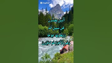 🎧 تلاوة خاشعة تهز القلوب | سورة هود الآية 19 بصوت يلامس الإحساس 🌿