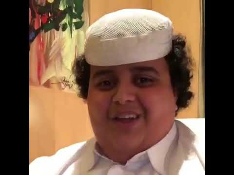 كل زق يا الكلاب الضالة